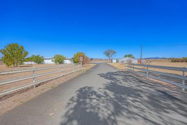 Lifestyle Auction - NSW - Tamworth - 2340 - RURAL OPPORTUNITY ON THE EDGE OF TOWN  (Image 2)