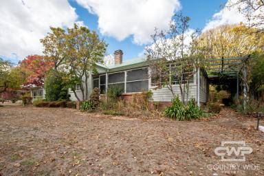 House For Lease - NSW - Ben Lomond - 2365 - Spacious Family Home for Rent  (Image 2)