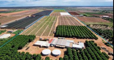 Business For Sale - WA - Perth - 6000 - Horticulture Business & 58 Acre Asset | $1.5M+ Capability | Walk-In Walk-Out  (Image 2)