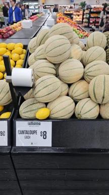 Horticulture For Sale - WA - North Plantations - 6701 - Turnkey Horticulture Operation | 58 Acres | Established Production, Infrastructure & Expansion Potential  (Image 2)