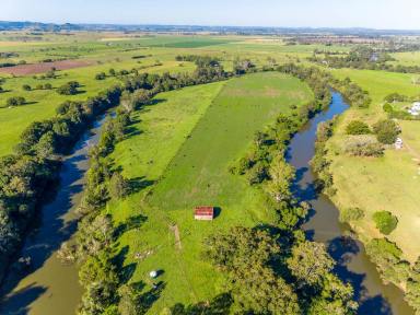 Mixed Farming For Sale - NSW - Tatham - 2471 - QUALITY FARM  @ TATHAM - 120 ACRES  (Image 2)