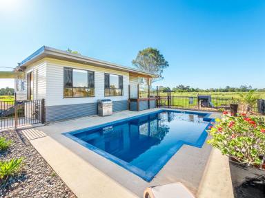 Mixed Farming For Sale - NSW - Tatham - 2471 - QUALITY FARM  @ TATHAM - 120 ACRES  (Image 2)