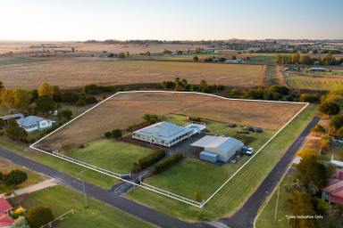 Acreage/Semi-rural For Sale - QLD - Cambooya - 4358 - Acreage Living with Space, Style & Sunset Views | Just under 5 Acres in the Heart of Cambooya (Image 2)