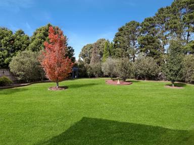 House For Sale - NSW - Bowral - 2576 - Easy Living - Parklike Grounds  (Image 2)