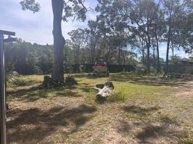 Residential Block For Sale - QLD - Macleay Island - 4184 - Fully fenced 1,348m2 block  (Image 2)