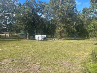 Residential Block For Sale - QLD - Macleay Island - 4184 - Great block Great Location  (Image 2)