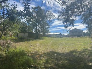 Residential Block For Sale - QLD - Macleay Island - 4184 - Great block Great Location  (Image 2)