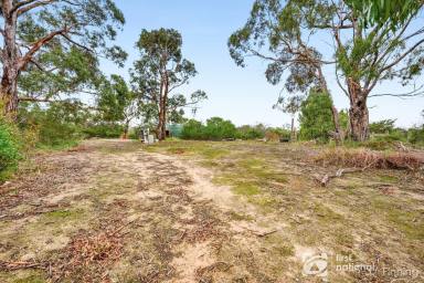 Residential Block For Sale - VIC - Cannons Creek - 3977 - RARE AS HENS TEETH -5 ACRES APPROX -WATER FRONTAGE CANNONS CREEK  (Image 2)