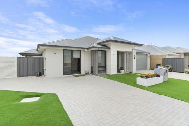 House For Sale - WA - Baldivis - 6171 - Brand New 2025 Summit Home with Dual Master Suites & Designer Living  (Image 2)