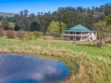 Other (Rural) For Sale - NSW - Eden Creek - 2474 - Rural retreat (Image 2)