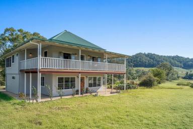 Other (Rural) For Sale - NSW - Eden Creek - 2474 - 76+ Acres Of Rural Bliss (Image 2)