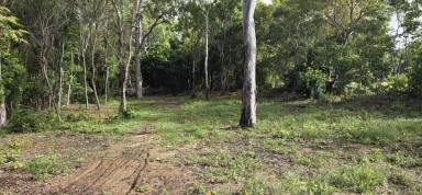 Residential Block For Sale - QLD - Forrest Beach - 4850 - TRANQUIL RETREAT AT FORREST BEACH! (Image 2)