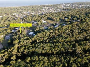 Residential Block For Sale - QLD - Forrest Beach - 4850 - TRANQUIL RETREAT AT FORREST BEACH!  (Image 2)