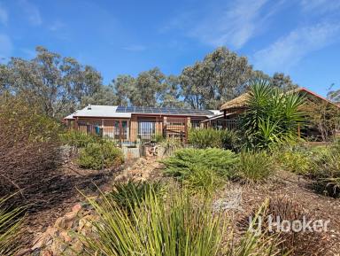 House For Sale - NSW - Inverell - 2360 - Private Lifestyle Retreat with Stunning Views  (Image 2)