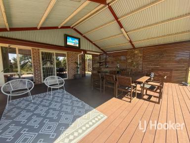 House For Sale - NSW - Inverell - 2360 - Private Lifestyle Retreat with Stunning Views  (Image 2)