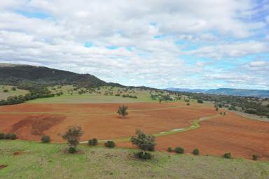 Mixed Farming For Sale - NSW - Bingara - 2404 - VERSATILE MIXED FARMING WITH WATER, SCALE & PRODUCTIVITY  (Image 2)