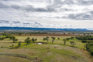 Mixed Farming For Sale - NSW - Bingara - 2404 - VERSATILE MIXED FARMING WITH WATER, SCALE & PRODUCTIVITY  (Image 2)