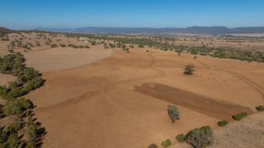 Mixed Farming Auction - NSW - Bingara - 2404 - VERSATILE MIXED FARMING WITH WATER, SCALE & PRODUCTIVITY  (Image 2)