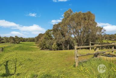 Acreage/Semi-rural For Sale - VIC - Bass - 3991 - Two Stunning Homes with River Frontage on 16.55 Acres  (Image 2)