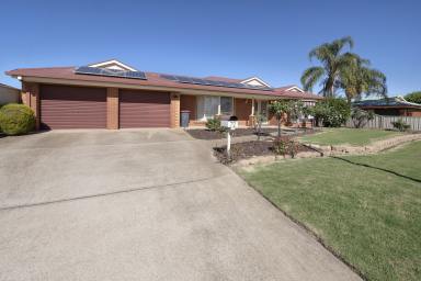 House For Sale - VIC - Swan Hill - 3585 - Family size living on a generous block  (Image 2)