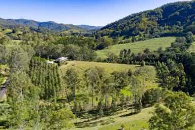 Acreage/Semi-rural For Sale - QLD - Upper Kandanga - 4570 - Barachi "Where the Sun Meets The Sky" (Image 2)
