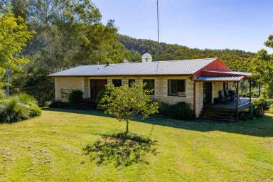 Acreage/Semi-rural For Sale - QLD - Upper Kandanga - 4570 - Barachi "Where the Sun Meets The Sky"  (Image 2)