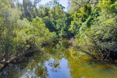 Acreage/Semi-rural For Sale - QLD - Upper Kandanga - 4570 - Barachi "Where the Sun Meets The Sky"  (Image 2)