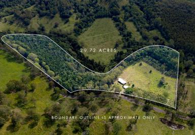 House For Sale - QLD - Upper Kandanga - 4570 - Barachi "Where the Sun Meets The Sky"  (Image 2)