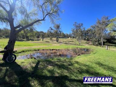 Residential Block For Sale - QLD - Ellesmere - 4610 - Weekender or live in full time you decide  (Image 2)