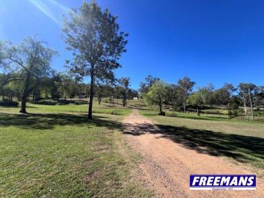 Residential Block For Sale - QLD - Ellesmere - 4610 - Weekender or live in full time you decide  (Image 2)