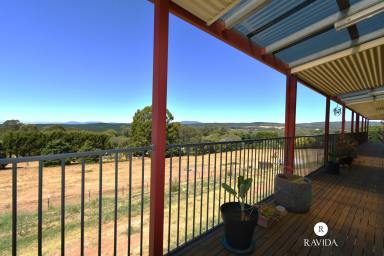 House For Sale - VIC - Stanley - 3747 - Modern Family Home with Acres to work with!  (Image 2)