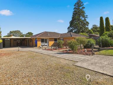 House For Sale - VIC - Foster - 3960 - SOLID BRICK VENEER IN QUIET COURT  (Image 2)