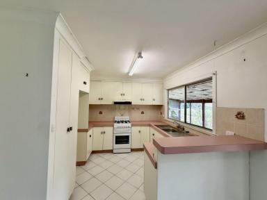 House For Lease - NSW - Theresa Creek - 2469 - Three Bedroom Farm House  (Image 2)