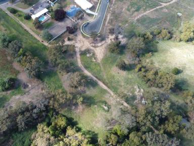 Residential Block For Sale - NSW - Young - 2594 - Ready To Go  (Image 2)