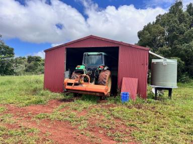 Residential Block For Sale - QLD - Lake Eacham - 4884 - Prime Atherton Tableland Rural Block  (Image 2)