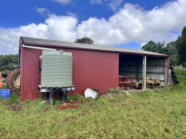 Residential Block For Sale - QLD - Lake Eacham - 4884 - Prime Atherton Tableland Rural Block  (Image 2)