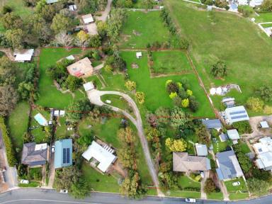 House For Sale - NSW - Young - 2594 - Family Living and loads of Privacy  (Image 2)