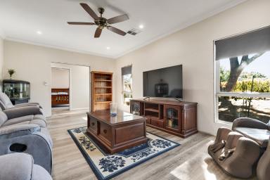 House For Sale - VIC - Red Cliffs - 3496 - Cosmetic improvements needed to this 5 bedroom home!  (Image 2)