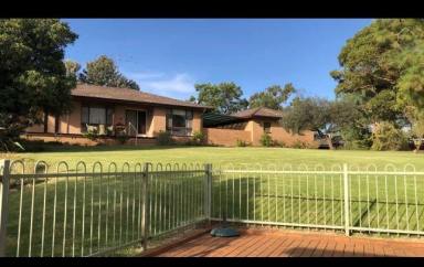House For Sale - NSW - Narrandera - 2700 - RURAL RETREAT  (Image 2)