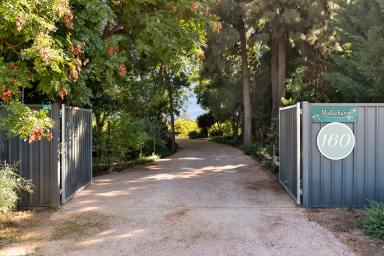 House For Sale - VIC - Red Cliffs - 3496 - The Perfect Lifestyle on 1.98 Hectares  (Image 2)