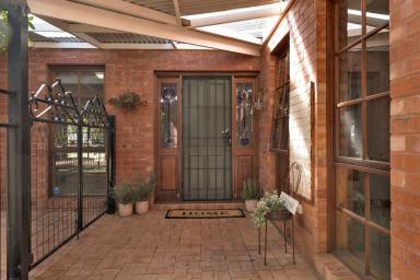 House For Sale - VIC - Red Cliffs - 3496 - The Perfect Lifestyle on 1.98 Hectares  (Image 2)