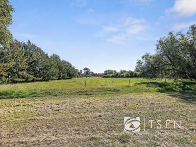 Residential Block For Sale - VIC - Raywood - 3570 - Escape to the Country Budget-Priced Rural Vacant Lot  (Image 2)