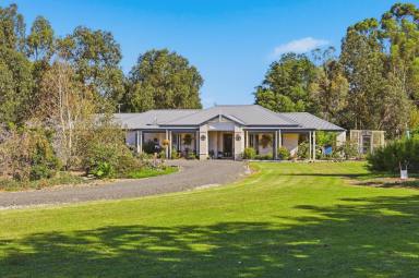 House For Sale - VIC - Toora - 3962 - Acreage lifestyle in the heart of town  (Image 2)