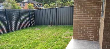 Townhouse For Lease - NSW - Watanobbi - 2259 - Modern 3 bedroom 3 bathroom townhouse in a popular estate for rent  (Image 2)