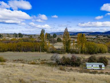 Residential Block For Sale - TAS - Campbell Town - 7210 - Acreage Living in Campbell Town  (Image 2)