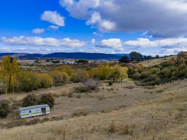 Residential Block For Sale - TAS - Campbell Town - 7210 - Acreage Living in Campbell Town  (Image 2)