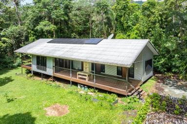 House For Sale - QLD - Daintree - 4873 - A Modern Home in the Worlds Oldest Rainforest  (Image 2)