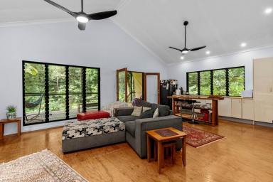 House For Sale - QLD - Daintree - 4873 - A Modern Home in the Worlds Oldest Rainforest  (Image 2)