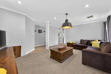 House For Sale - WA - Alexander Heights - 6064 - Elevated Family Living on 690sqm with Stunning Outdoor Space!  (Image 2)