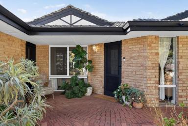 House For Sale - WA - Alexander Heights - 6064 - Elevated Family Living on 690sqm with Stunning Outdoor Space!  (Image 2)